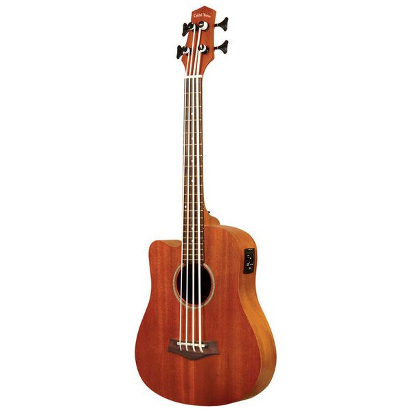 Gold Tone Micro Bass 23 w/Bag LH