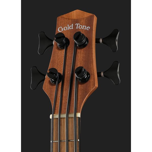 Gold Tone Micro Bass 23 w/Bag LH