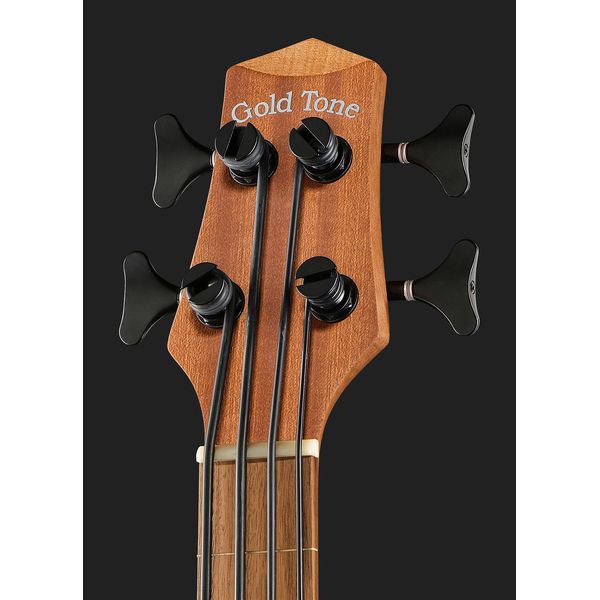 Gold Tone Micro Bass 23 Fretless w/Bag