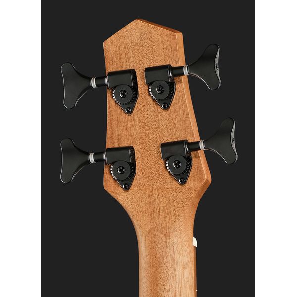 Gold Tone Micro Bass 23 Fretless w/Bag