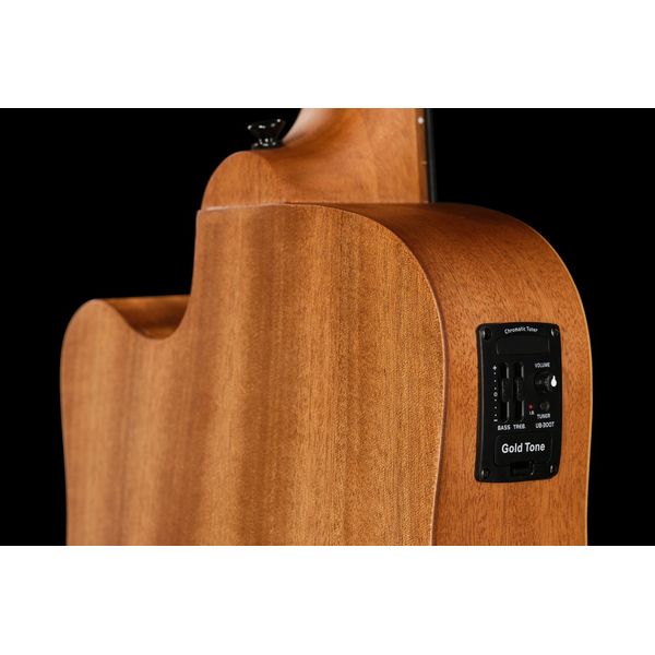 Gold Tone Micro Bass 23 Fretless w/Bag