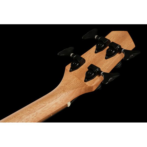 Gold Tone Micro Bass 23 Fretless w/Bag