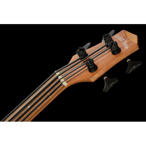 Gold Tone Micro Bass 23 Fretless w/Bag