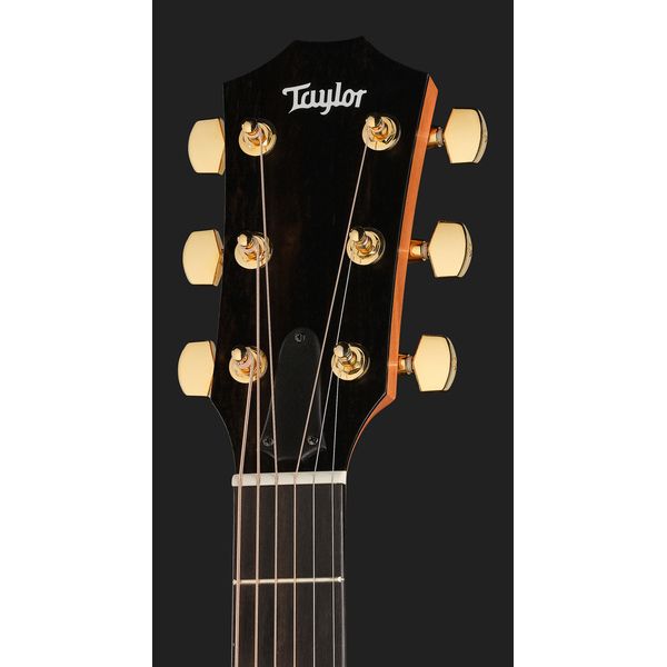 Taylor 224ce-K DLX