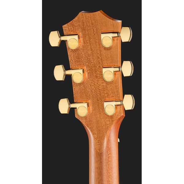 Taylor 224ce-K DLX