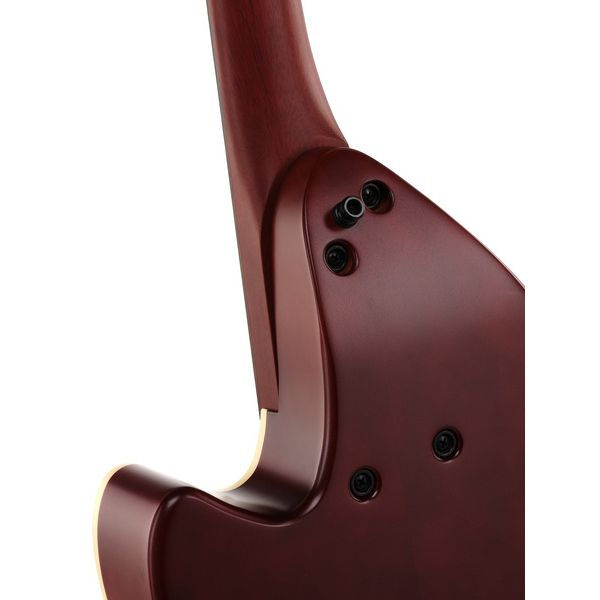 Godin MultiOud Encore Nylon