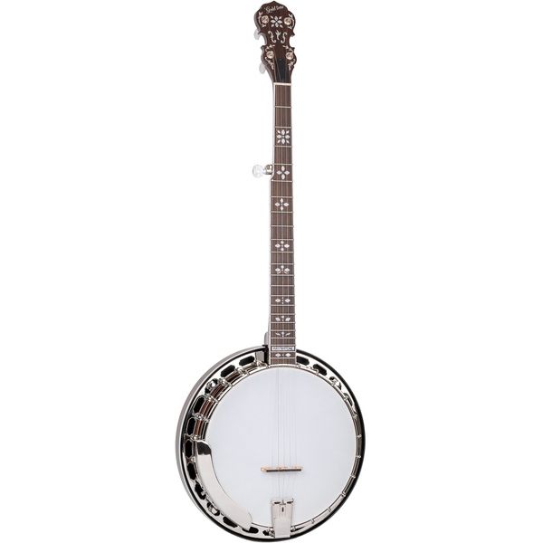 Gold Tone BG-150F Banjo