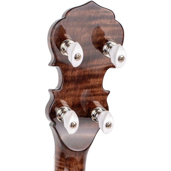 Gold Tone BG-150F Banjo