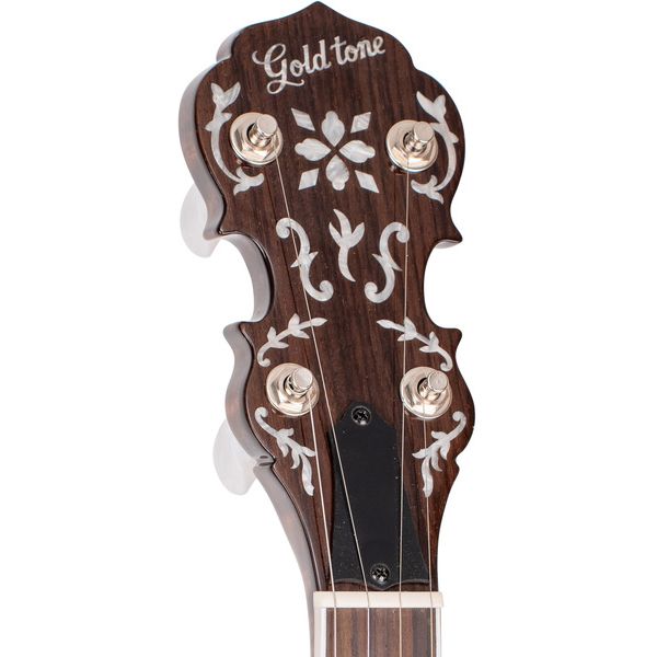 Gold Tone BG-150F Banjo