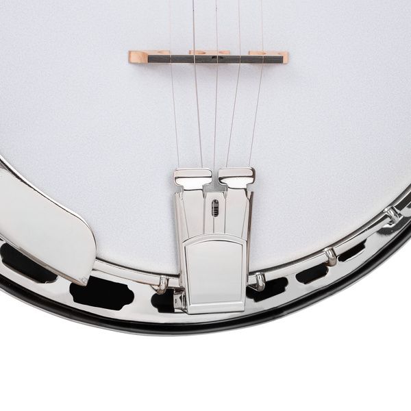 Gold Tone BG-150F Banjo