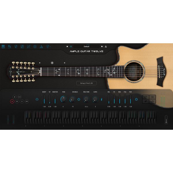 Ample Sound Ample Guitar Twelve