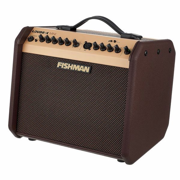 Fishman Loudbox Mini with Bluetooth – Thomann Italia