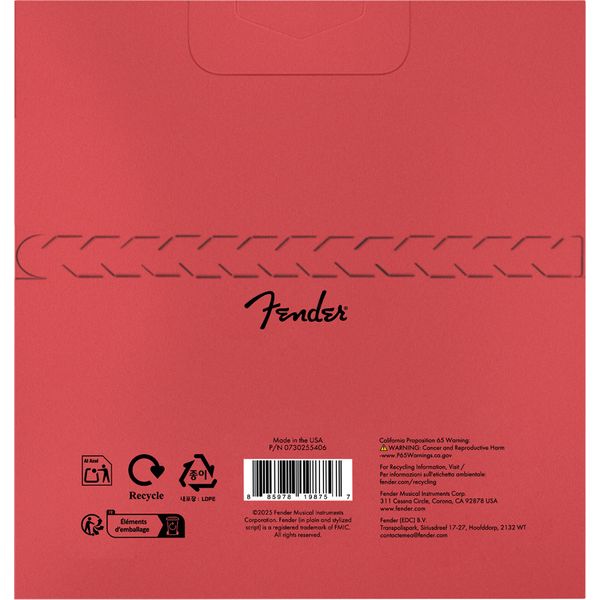 Fender Clsc Core NPS 255R 10-46 Ball