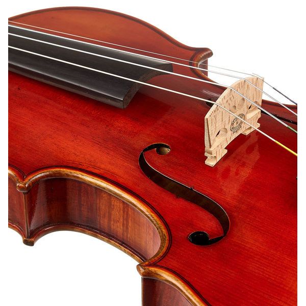 Artino VN-315 Premium Violin Set 4/4