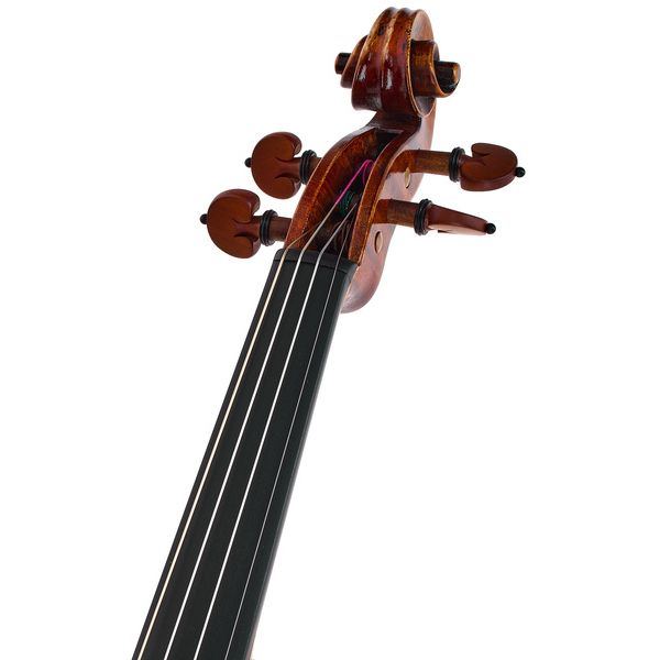 Franz Sandner Master de luxe Stradivari