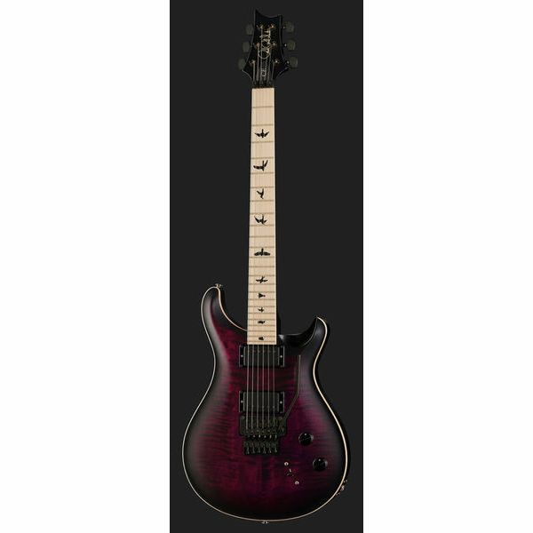 PRS CE 24 Dustie Waring Floyd WB