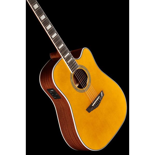 DAngelico Premier Bowery Vintage Natural