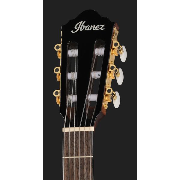 Ibanez AEG50N-BKH Nylon