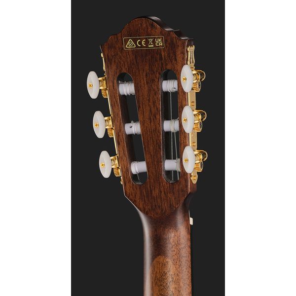 Ibanez AEG50N-BKH Nylon