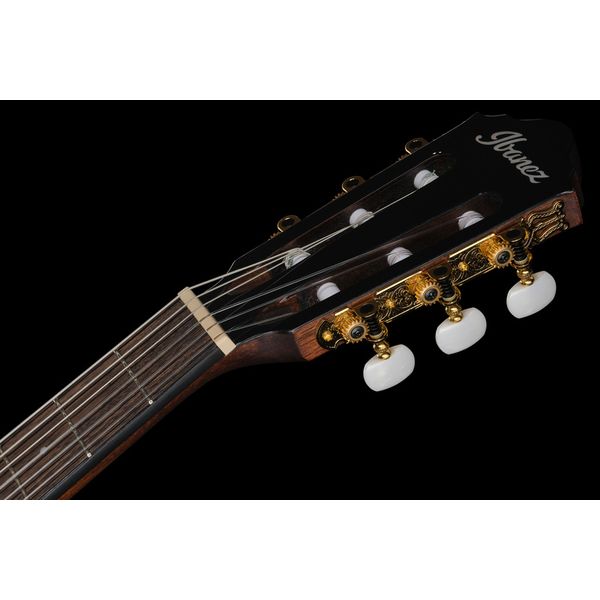 Ibanez AEG50N-BKH Nylon