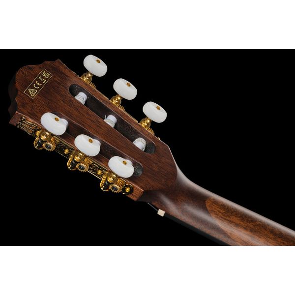 Ibanez AEG50N-BKH Nylon