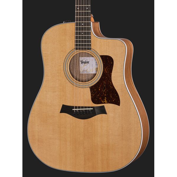 Taylor 210ce