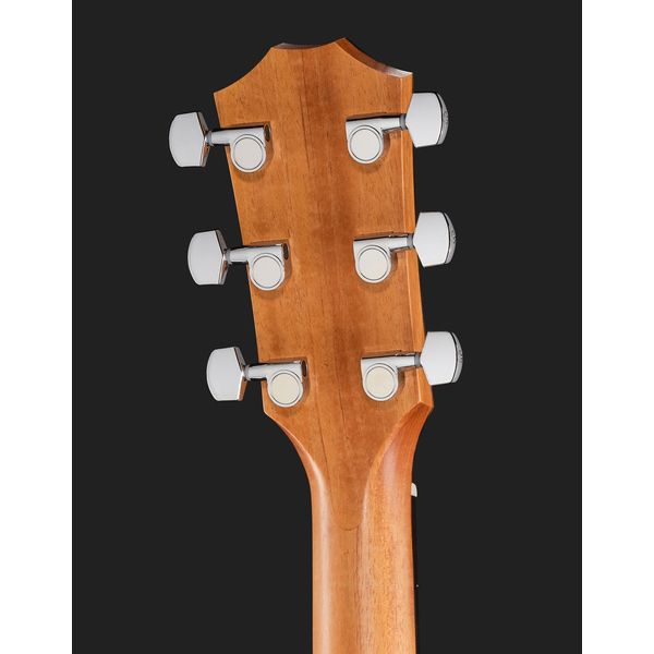Taylor 210ce
