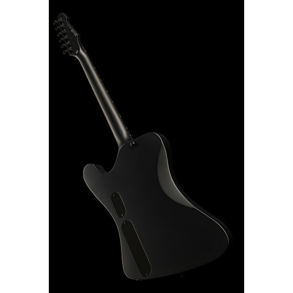 ESP LTD Phoenix Black Metal BLKS