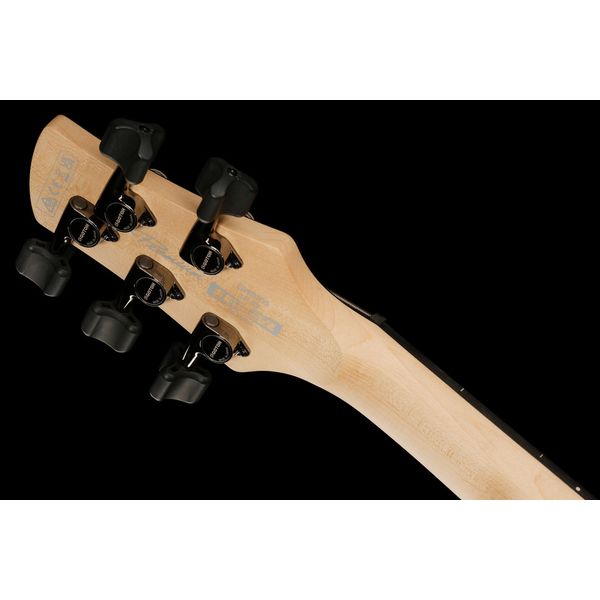 Ibanez GWB205-TQF