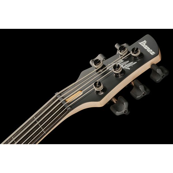 Ibanez GWB205-TQF