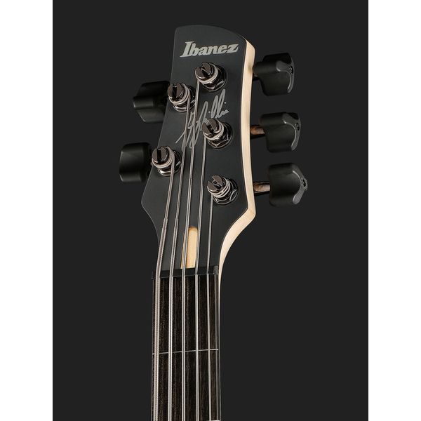 Ibanez GWB205-TQF