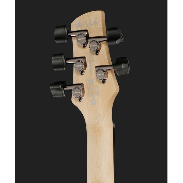Ibanez GWB205-TQF