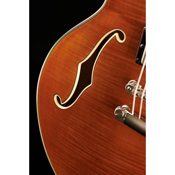 Stanford CR Thinline 35 VB