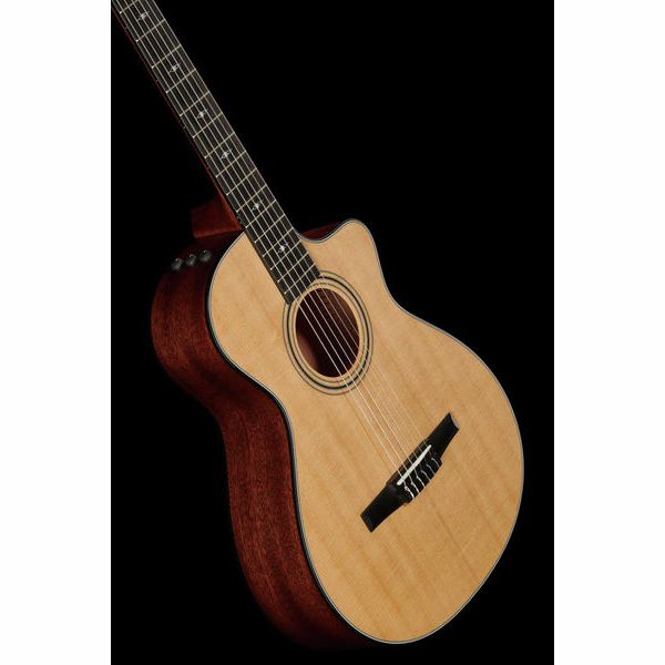 Taylor 312ce-N Nylon