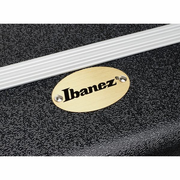 Ibanez MM100C Case for AM