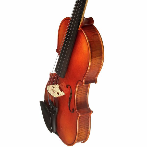ドイツ製 Franz Sandnerバイオリン 4/4 1993年製 - 弦楽器