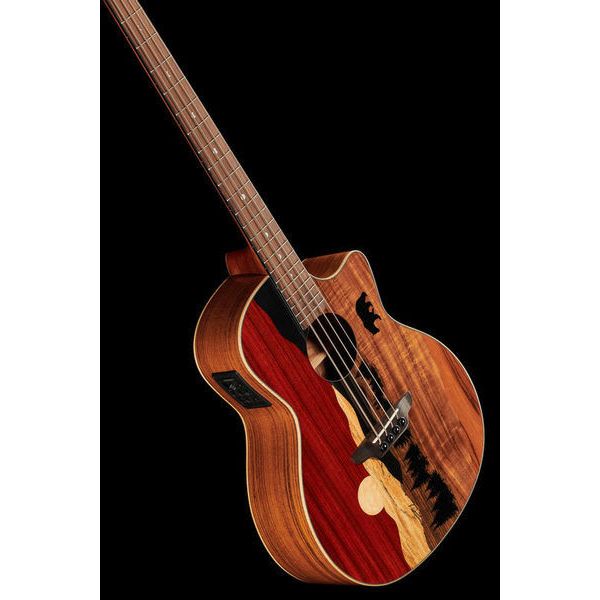 Luna Guitars Vista Bear Bass A/E