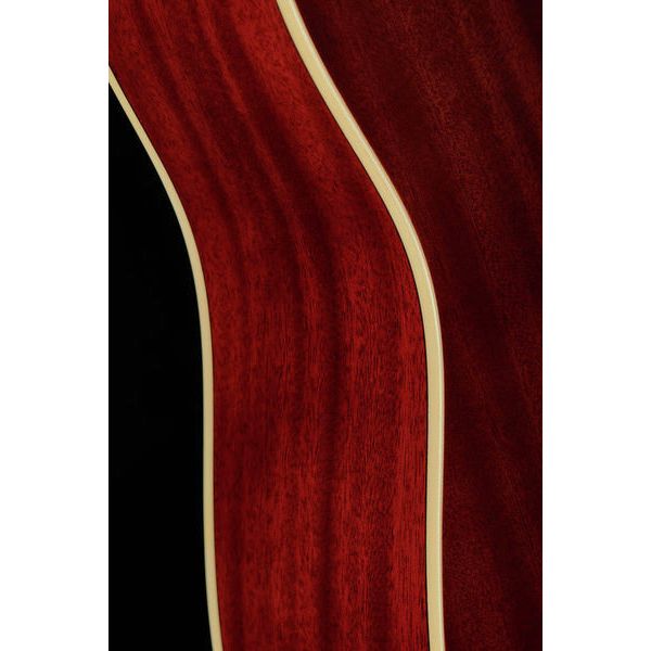 Larry Carlton A3-D NT