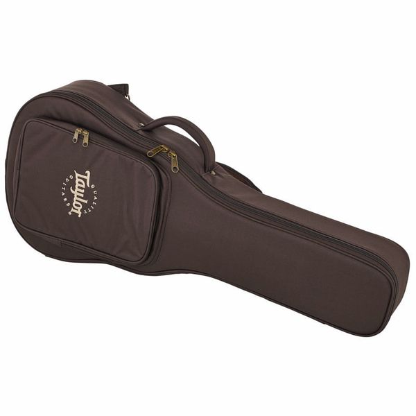 Taylor Aero Case GS Mini