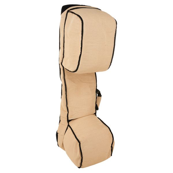 Thomann Nataraj Saraswati Veena