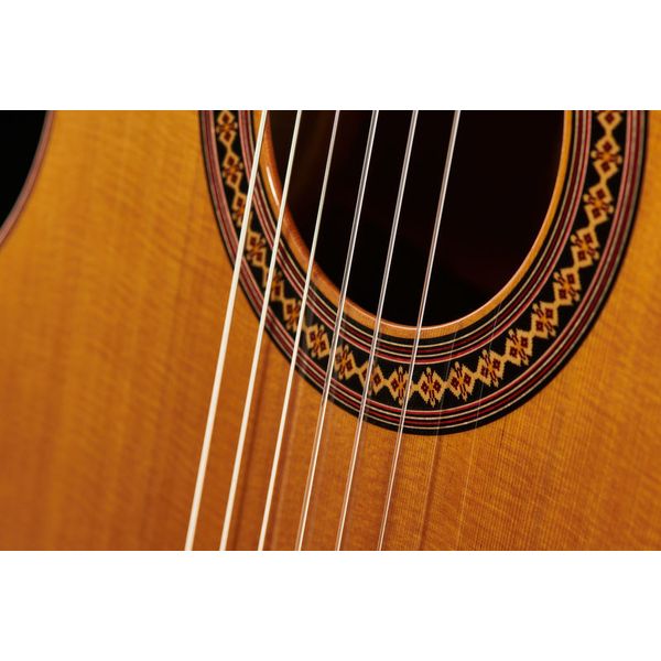 Alhambra Iberia Ziricote incl.Gig Bag