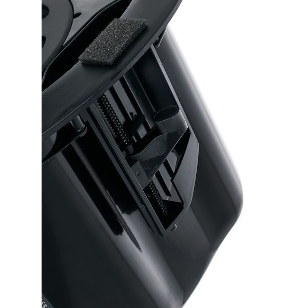 Bose Professional DesignMax DM5C black