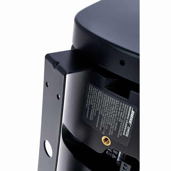 Bose Professional DesignMax DM5SE black