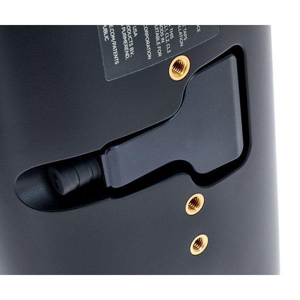 Bose Professional DesignMax DM5SE black