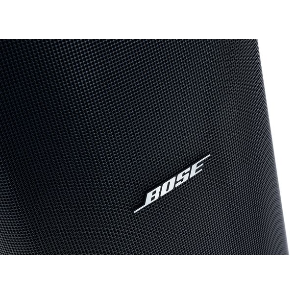 Bose Professional DesignMax DM6SE black