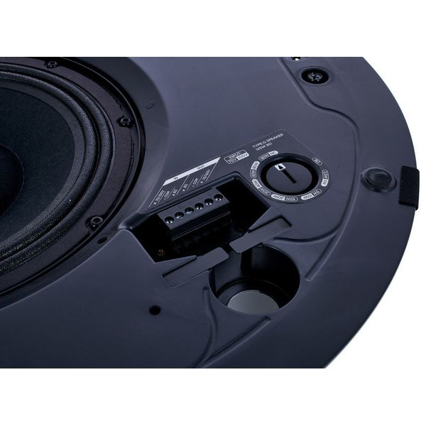Bose Professional DesignMax DM8C black