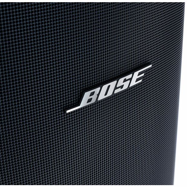Bose Professional DesignMax DM8S black