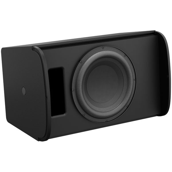 Bose Professional DesignMax DM10S-SUB black