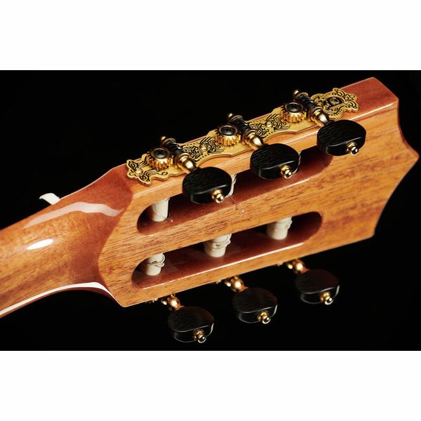 Alhambra CS-3 CW E8 incl.Gig Bag