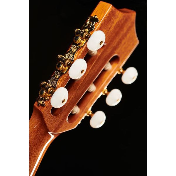 Alhambra CS-LR CW E1 incl. Gig Bag